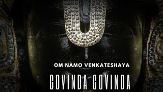 GOVINDA GOVINDA ANI KOLUVARE  | venkateswara swamy songs | Bhakti Songs |  Feel good music India pro