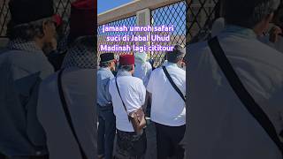 Jamaah umroh safari suci di Jabal Uhud Madinah lagi cititour #trending #shorts #love #video #travel