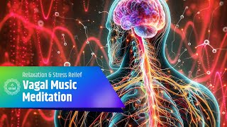 Vagal Music Meditation: Stimulate the Vagus Nerve for Relaxation and Stress Relief