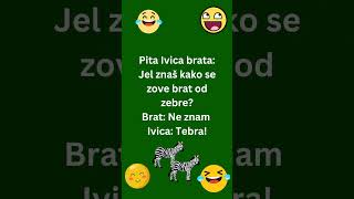 Brat od zebre!! 😄😄 #vicevi #smesniklipovi #smehdosuza #zabava