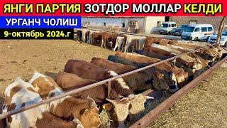 ЯНГИ ПАРТИЯ ЗОТДОР МОЛЛАР КЕЛДИ ХОРАЗМ УРГАНЧ ЧОЛИШ 9-октября 2024 г.