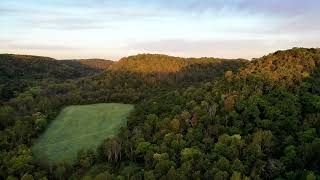 Aerial Oasis: Drone Expedition Through the Verdant Canopy on Hilltop 🚁🌳