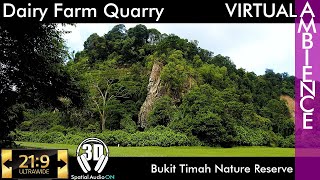 Bukit Timah Nature Reserve - Dairy Farm Quarry #ultrawidewalk #DJI #pocket2 #3dsound #4kwalk #ASMR