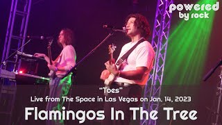 Flamingos In The Tree - "Toes" - Live from The Space in Las Vegas on January 14th, 2023