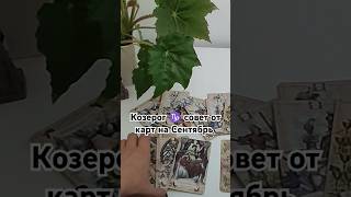 Козерог ♑ !Карты  Вам советуют в Сентябре, выбирать себя 🌹 #таро #tarot #гадание_онлайн