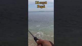 disambar begal #ultralightfishingindonesia  #mancingcasting #mancinglombok