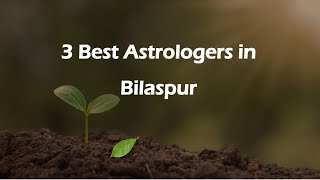 3 Best Astrologers in Bilaspur, Chhattisgarh 2024 | Astrologers