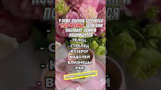 Лучшая жена по знаку зодиака  #астрология #гороскоп #знакизодиака