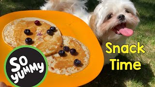 Pancake Recipe for Dogs | Chase Tried Pancake for the First Time