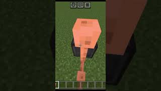 Minecraft tik tok hack #viral #minecraft #shorts