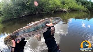 😲 LA BESTIA DEL YI - Pesca Tarariras Uruguay  🎣🇺🇾