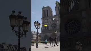 Quick Trivia: Notre-Dame Cathedral - Paris  #travel #notredame #france #paris  #triviamy