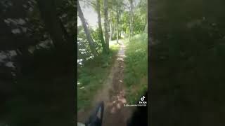 altes Video gefunden da war ich mit Fahrrad unterwegs 🌲🌳🌲🌳🌲🌳🌲🌳🌲