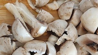 Live: Lets Prepare Mushroom Curry