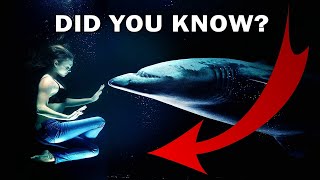 40 Amazing Interesting Facts