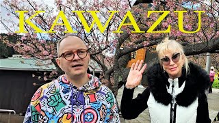 Япония | Кавадзу-место цветения ранней сакуры / Japan | Kawazu - Place of Early Cherry Tree Blossoms