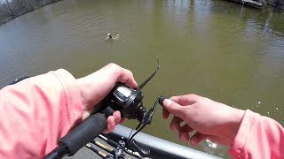 Highschool Bass Fishing Tournament Pre-Fishing | Lake Lemon