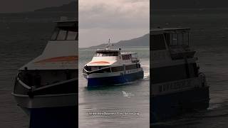 Cebu - Tagbilaran v.v. Runner | Oceanjet 88 #shorts