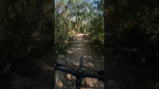 Double Drop to Wallride🔥 #mtb #drop #mountainbike #pov #awesome