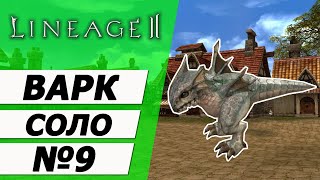 Варк Соло №9 . Квест на личинку страйдера на Asterios x7. Lineage 2.