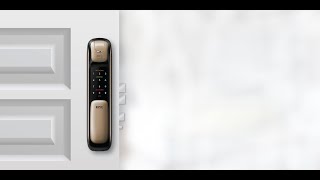 Epic ES P9100FK Push & Pull Door Lock