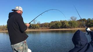 Striper Express Guides Catch Big Winter Fish on Lake Texoma