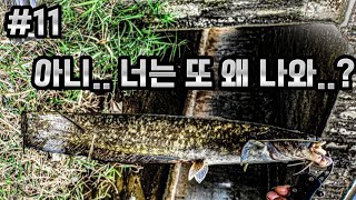 #11 배스는 안나오고 이상한 녀석들이 나오니..