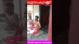 എല്ലാ അമാവാസിക്കും,വിഷ്ണുമായക്ക് തുള്ളി കല്പന പറയുന്നു#shorts #വേദമന്ത്ര#infinite