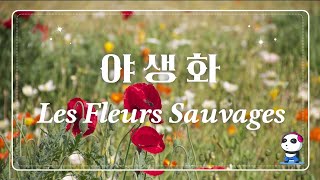 Les Fleurs Sauvages (야생화) - Richard Clayderman / 리처드클레이더만 피아노 연주곡 야생화 / [ 30M Repeat ]