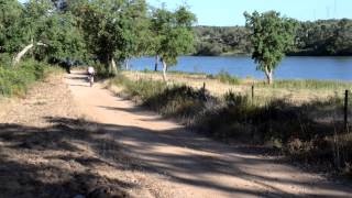 Uma história de amor com btt e motocross...