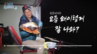 밤낚시에 멋진 찌올림을 보여주는 김포낚시터 붕어낚시