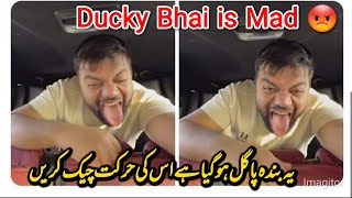 Ducky Bhai is Mad | ducky bhai pagal ho gaye hain 🥺 #duckybhai