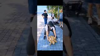 WOW BIG YELLOW TURTLE || Mhai HK ||#everyone #asiancity #shortsvideoyoutube #everyone #planetasia