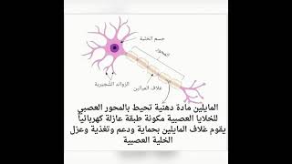 ٨ نوفمبر ٢٠٢٣