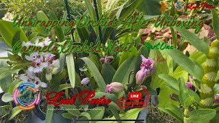 Orchids Care After Unboxing May 31, 2024 || Part One