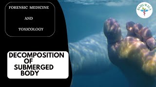 DECOMPOSITION OF SUBMERGED BODY  ||  FORENSIC MEDICINE AND TOXICOLOGY   ||   MBBS  ||  BAMS  ||