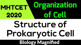 Organization of Cell for MHTCET 2020 | Structure of Prokaryotic Cell | 11th Biology Quick Revision