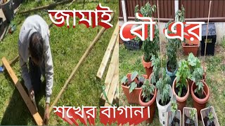 How to look after your garden/plants/crops/how to rid of black ants/pest শখের বাগান লন্ডন ( part 3 )