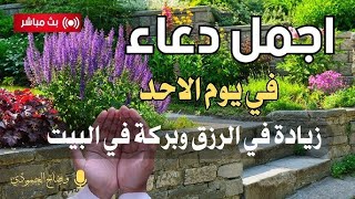 اقوى دعاء في يوم الاحد سيفتح لك الأبواب المغلقة ويرزقك من حيث لاتدري💕 بصوت يلامس الروح