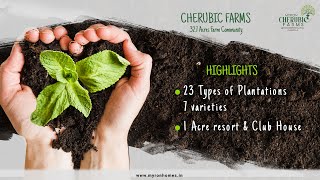 Best Farmlands for Sale in Hyderabad | Cherubic Farms | Myron Homes