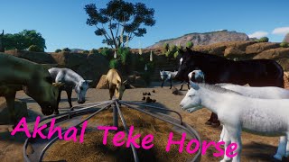 Akhal Teke horse by Tangara140 - Planet Zoo Mod