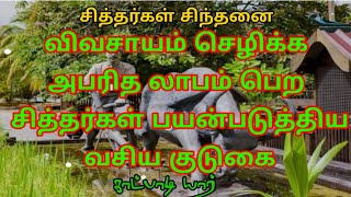 விவசாயம் செழிக்க அபரீத லாபம்