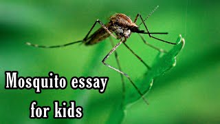 10 lines on Mosquito in Hindi | मच्छर पर छोटा निबंध @Blippi