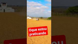 Oque estou praticando #viral#raças#agro