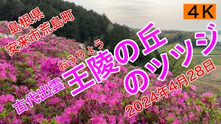 観光64.【古代出雲王陵の丘】（こだいいずもおうりょうのおか）島根県安来市荒島町