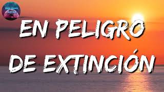 La Adictiva - En Peligro De Extinción (Letra\Lyric)