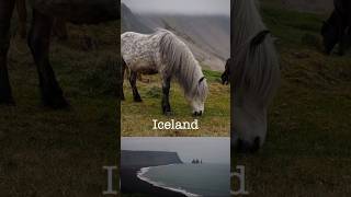 #iceland #icelandtravel #nature #naturebeauty #naturelovers #исландия #アイスランド #horse #horses #travel