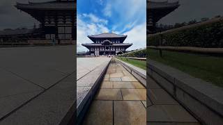 Historic Wonders of Nara City!#naraparkjapan #temple #todaiji #traveltok #travel #japan #asien