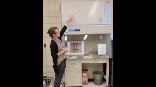 Lab Blab Episode 13 | The Biosafety Cabinet