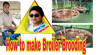 How to make Broiler Brooding II Brooding Management